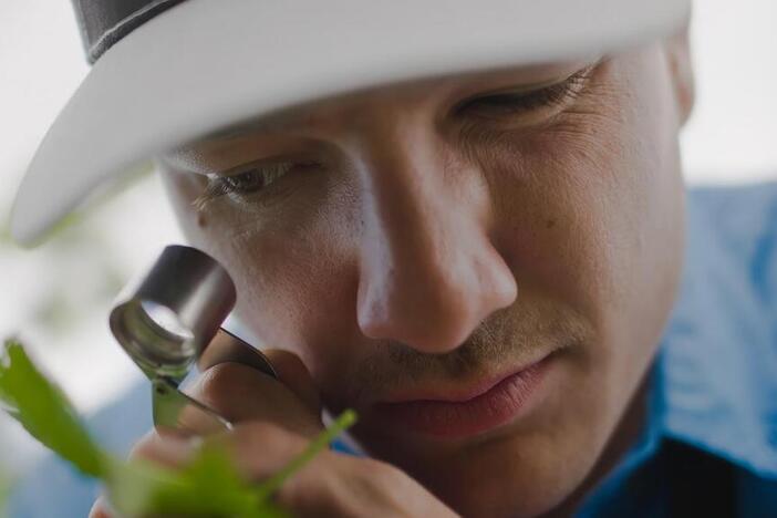 A man looking at a plant through a magnifying glass.