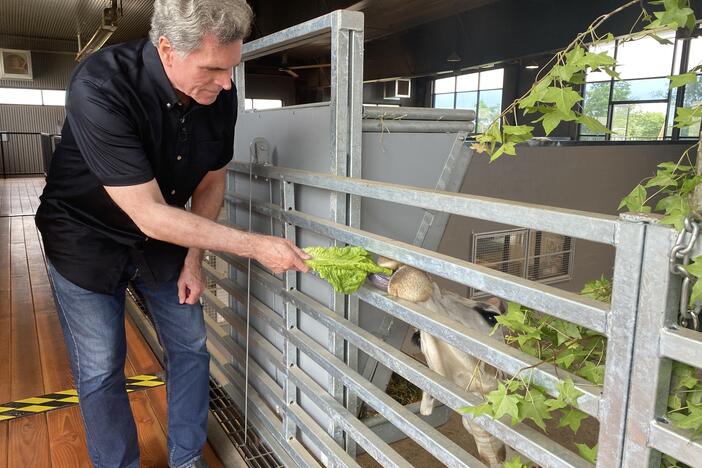 Jeff Hullinger feeds an animal at the Georgia Conservation Safari Park