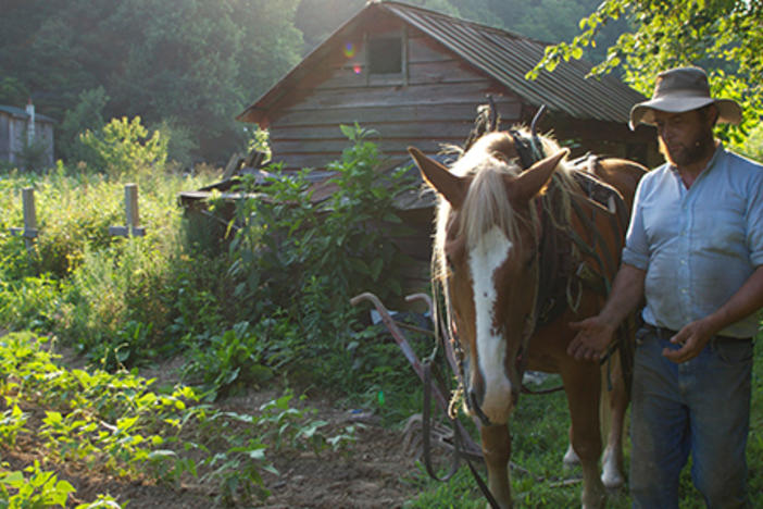 Image courtesy Courtesy of Edward Marritz/WGBH.