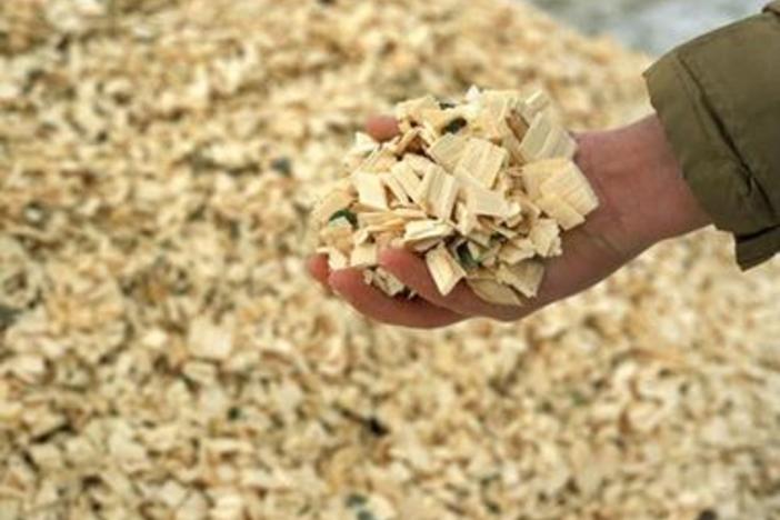 Georgia has become a national leader in the production of Biomass material for energy production