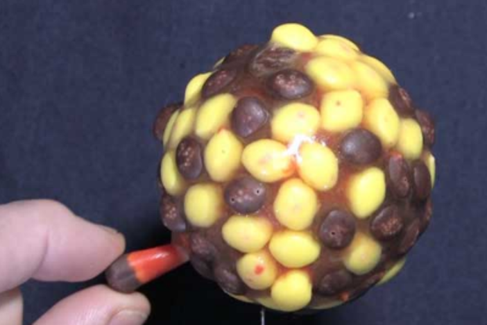 NASA Astronaut Don Pettit used Candy Corn to conduct experiements in space. (Photo: Don Pettit, ScienceFriday.com)