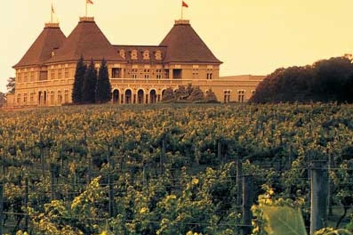 Chateau Elan is Thriving in North Georgia
