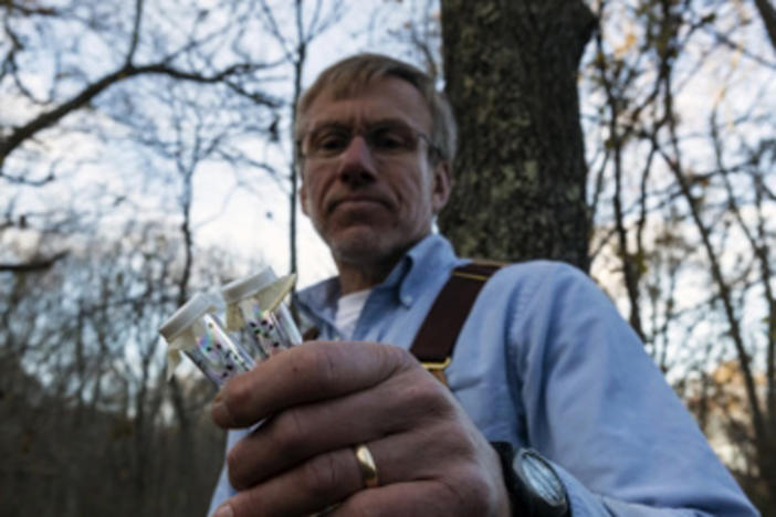 Tom Mather, researcher, captures ticks