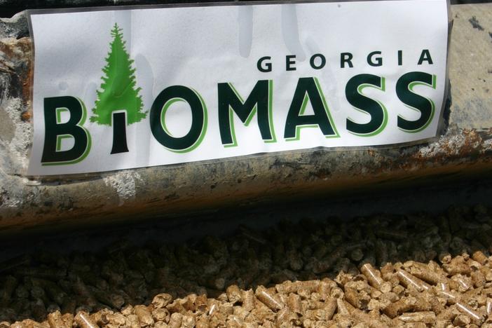 Georgia is a world leader in providing biomass energy products