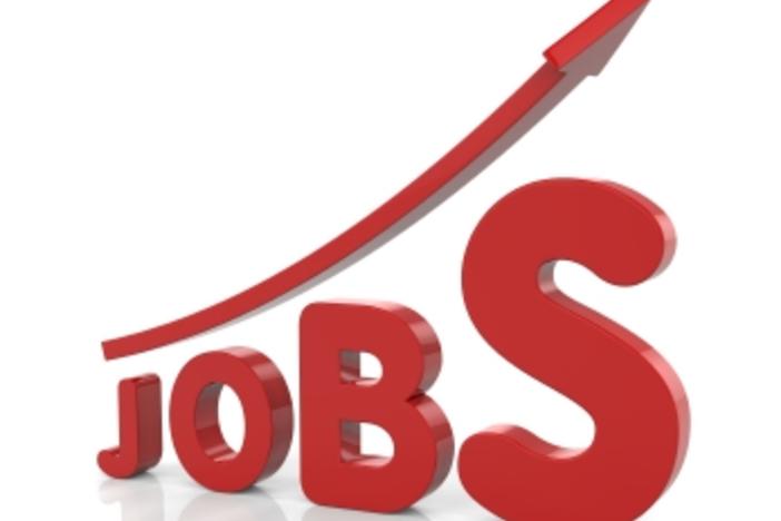 Speed Hire
