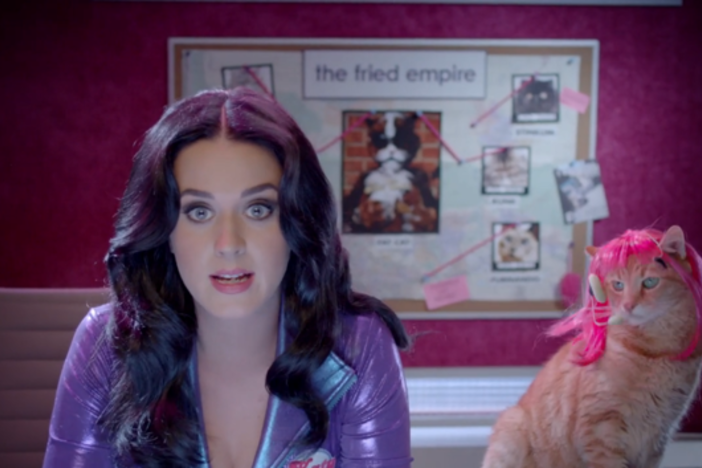 Katy Perry and one of the Popcats are part of the Top 10 video CATdown for Adopt a cat month.