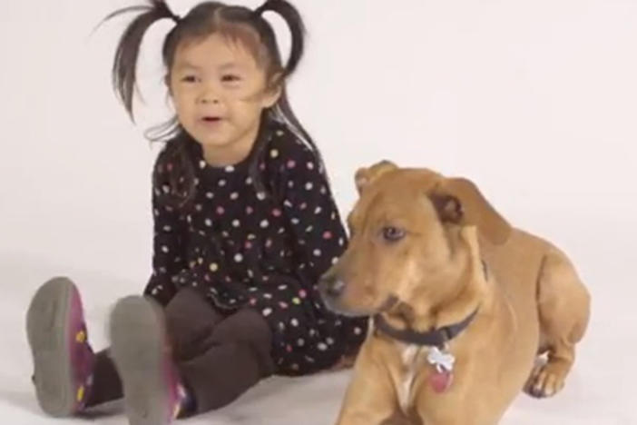 Molly and Joey are spokeschild and dog against puppy mills and pet stores that sell pups.