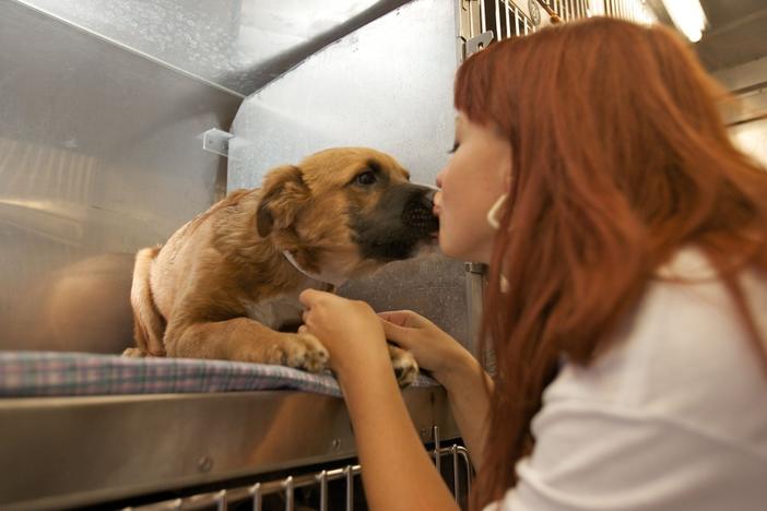 PetSmart has over 600 job openings in Georgia.