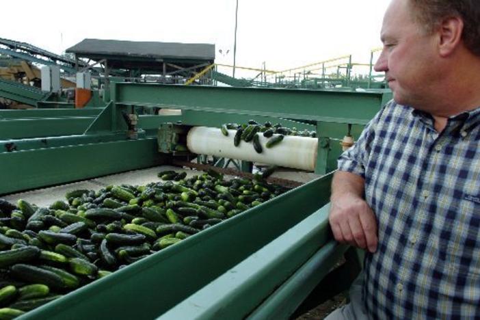 Mr. Chips pickle facility is 120,000 square feet in the Ocmulgee East Industrial Park.