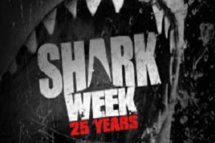 Shark Week begins this week on Discovery with a GREAT Georgia connection with Georgia Aquarium.
