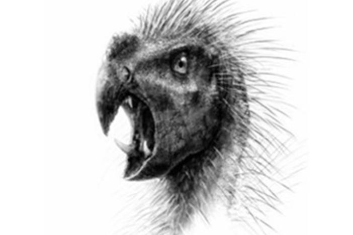 Illustration by Todd Marshall
