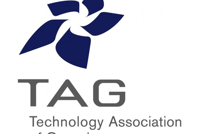 Georgia Southern University and Manheim were both recognized by TAG for the 2013 Innovation Awards.