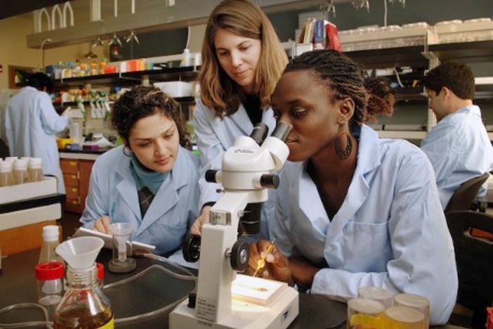 Less than 1 in 4 STEM jobs are held by women