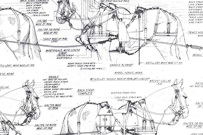 Senior Horse Tack Specialist Eugene Burks Jr. shows the importance of the "Line of Draft".