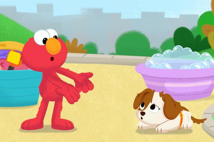Ziggy's ball goes missing! Elmo and Tango solve the mystery of where Ziggy's ball is hidin