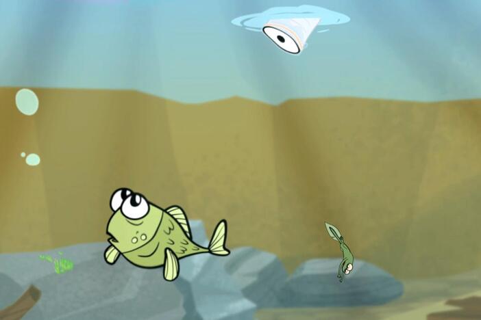 Nature Cat and his pals are looking for clues to where the fish at the pond went. 