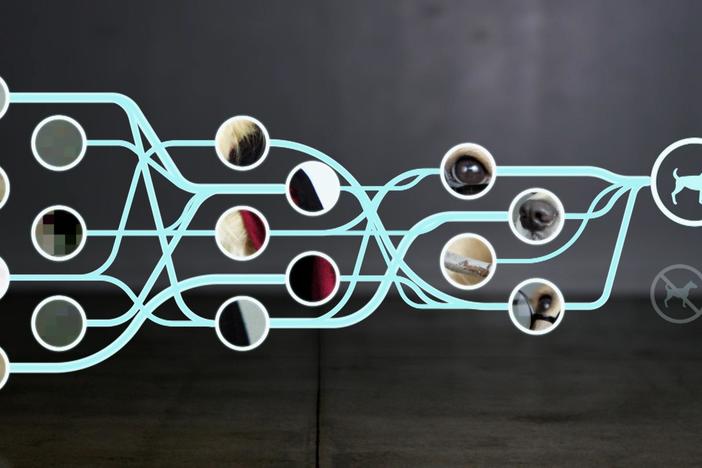 Neural nets have revolutionized the AI industry for years. But what exactly are they?