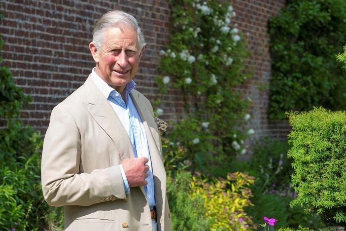 Enjoy access to the longest-serving heir to the British throne in his 70th birthday year.
