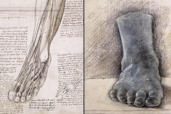 Leonardo da Vinci’s study of human anatomy combine scientific exploration with expert artistry.