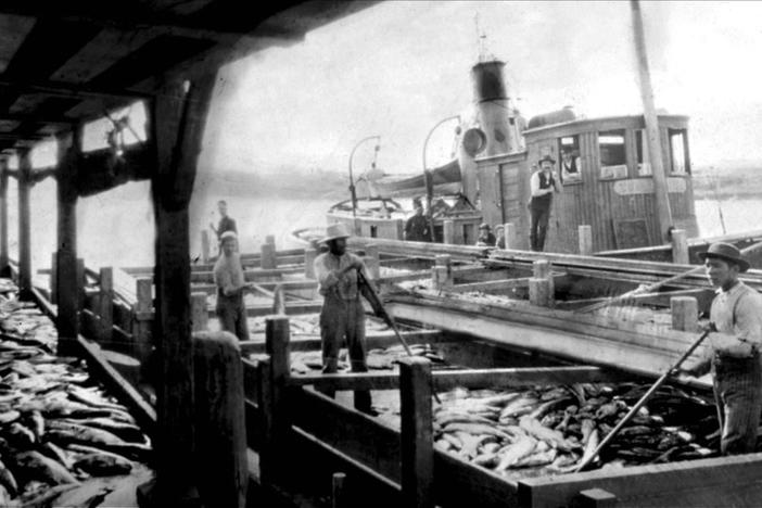 Hatcheries fail to deliver on their promise of a future full of salmon.