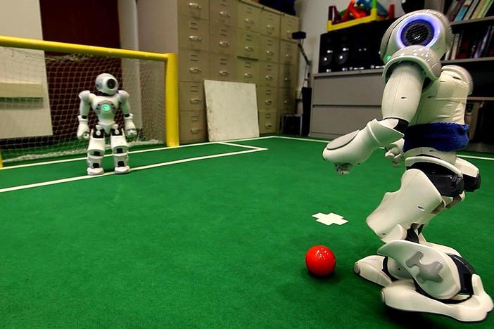 These completely autonomous ball-kickers are irresistible to watch.