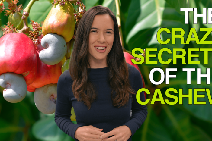 We break down all the wild facts about the cashew.