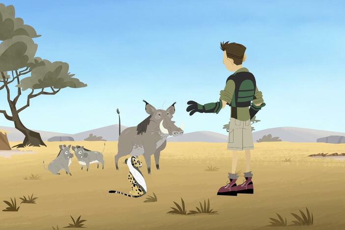 Spotswat has been adopted by a Warthog, so the Kratts wonder... Where is his mom?