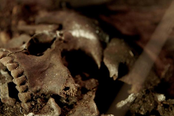 Did a lethal plague kill thousands in ancient Rome? Centuries-old DNA may hold the answer.
