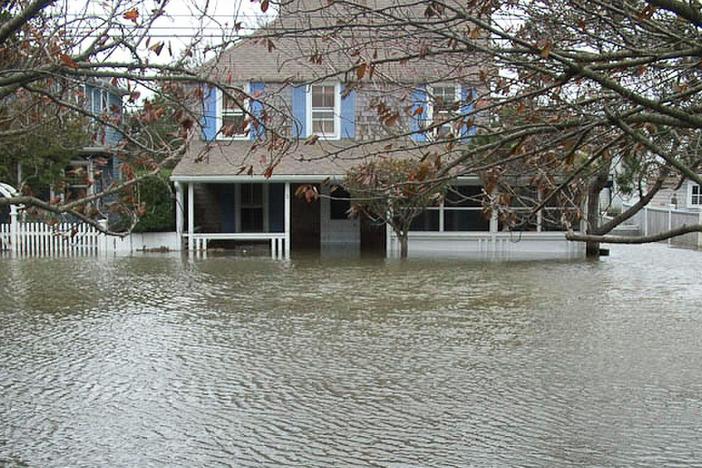 Life After Sandy- Storm Stories from the Jersey Shore