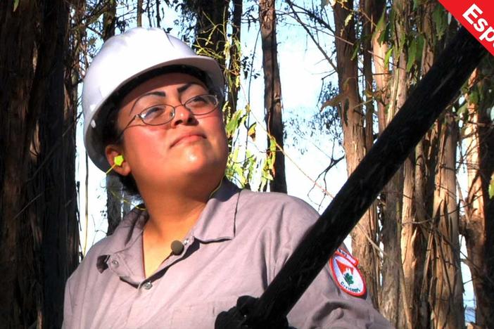 American Graduate: Vamos a Lograrlo! Documental Corto