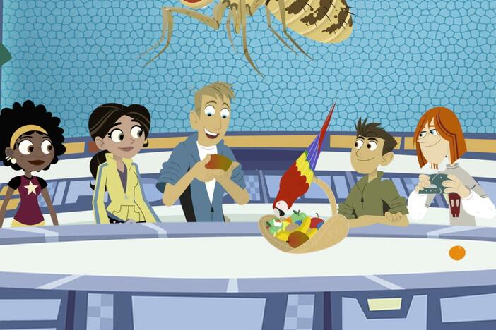 The Wild Kratts go on a journey to visit all the creatures who live to 100 years old.