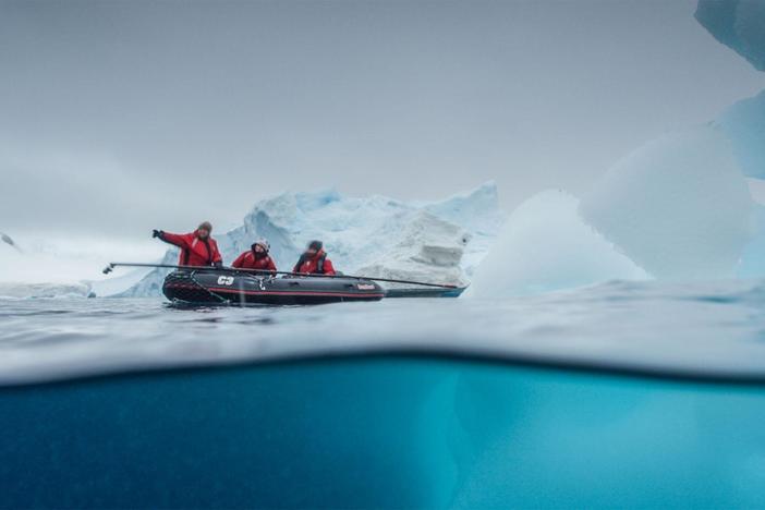 Whale researchers attach sensors to humpback whales to gather scientific information.