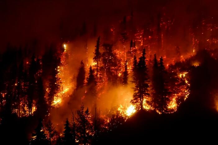 Devastating wildfires are threatening to destroy Canada’s boreal forest.