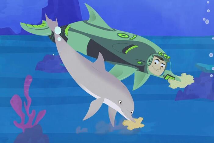 Chris learns about another tactic used by dolphins to find food.