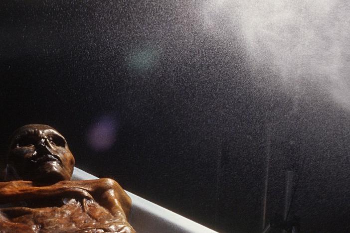 Watch as Otzi, a 5000-year-old mummy, is brought to life and preserved with 3D modeling.	
