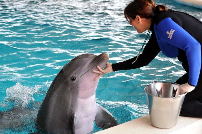The National Aquarium in Baltimore is re-examining what counts as “humane”.