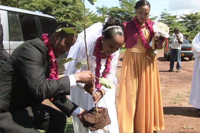 A bishop is leading a tree-planting campaign to save the glaciers of Kilimanjaro.