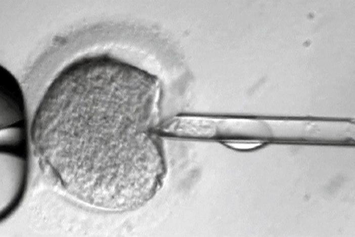 Repairing flawed genes may cure some diseases, but what are the potential risks?
