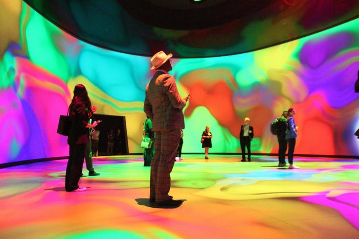 American Museum of Natural History opens stunning new expansion