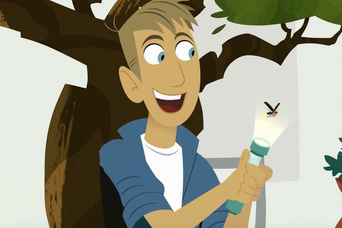 Aviva, Jimmy, and the Kratt brothers work together to figure out bioluminescence.
