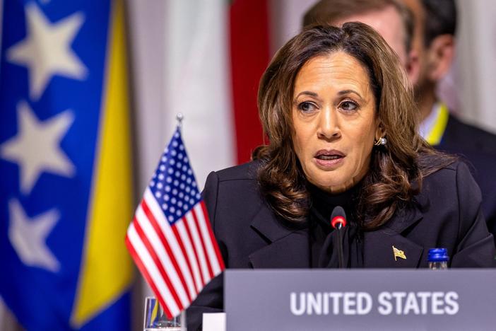 News Wrap: Harris announces $1.5 billion aid package for Ukrainian infrastructure