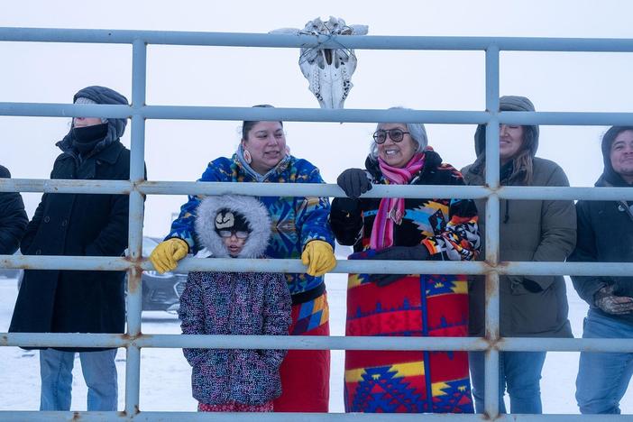 A momentous occasion as a new Buffalo herd are returned to the Fort Peck Reservation.