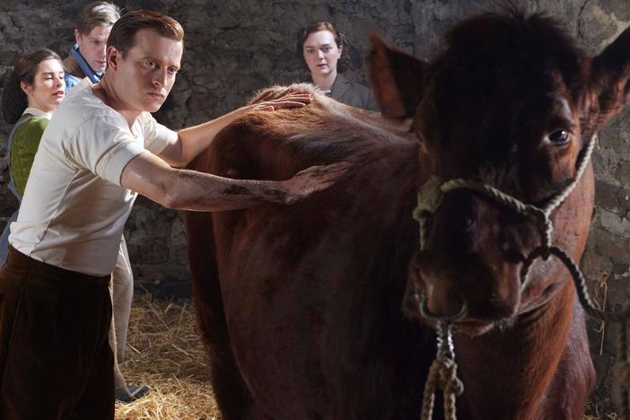 Carmody is challenged with learning how to be a vet outside of his books