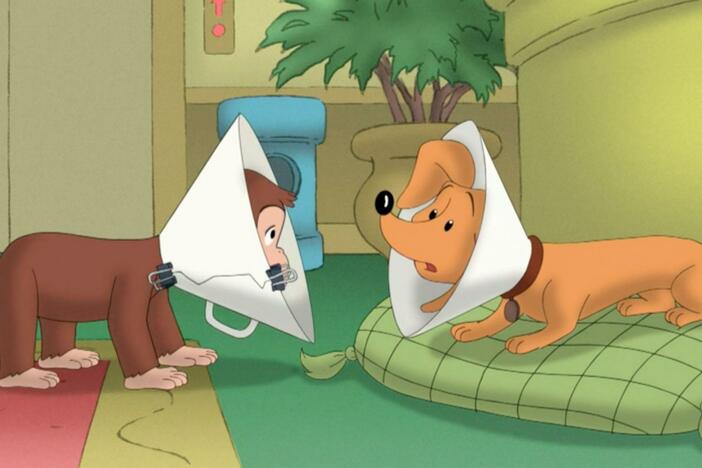 George makes a machine to wake him up./Hundley has to wear a dog cone.