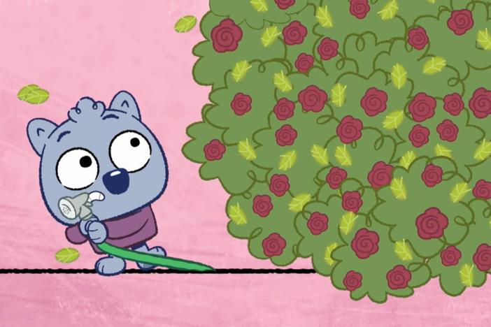 First comes the “cause” – you water a plant; then comes the “effect” – a flower grows!