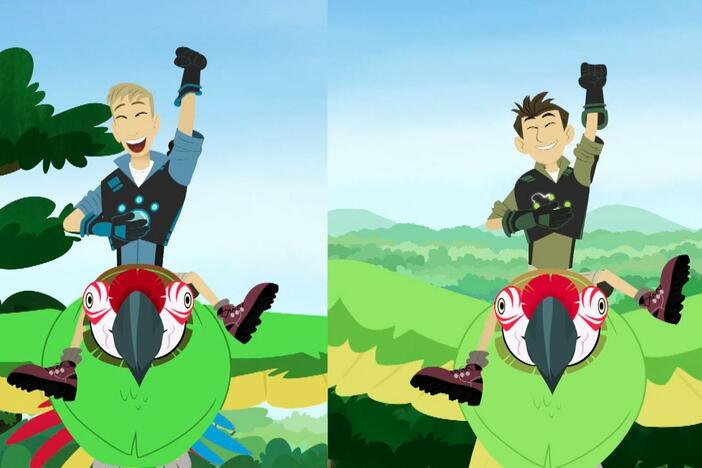 The bros are off on a mission to find as many colorful parrots as they can in the Amazon.