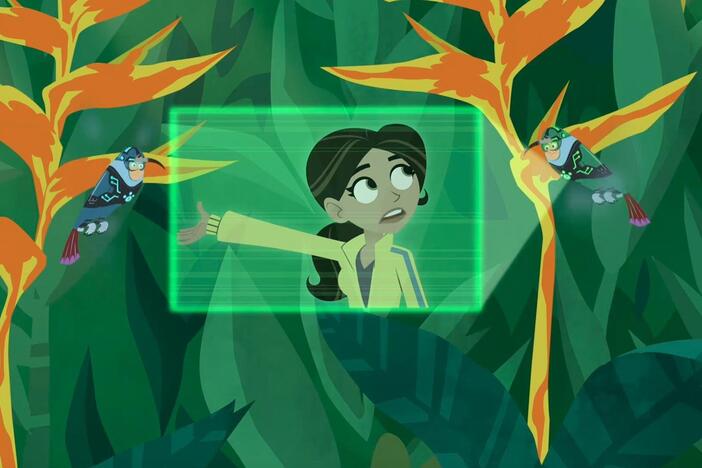 The Kratts use their Hummingbird CPS to pursue Gourmand, who has found a Hummingbird nest!