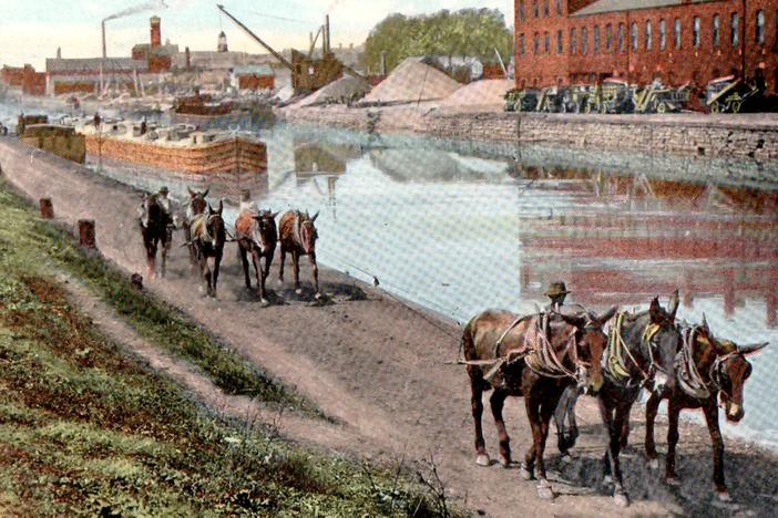 The role played by mules that pulled barges along the Erie Canal in its early days.