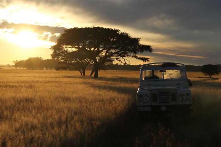 Pioneering scientists make surprising discoveries that change our understanding of nature.