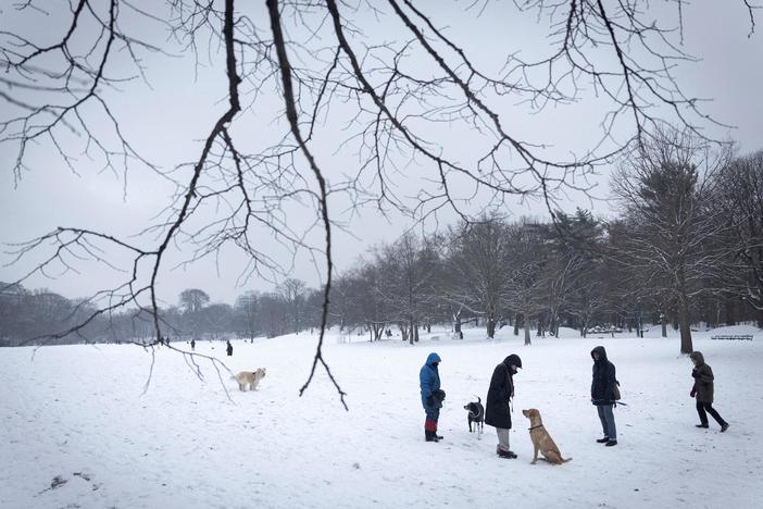 News Wrap: Bitter cold, snow and ice storms plague much of the U.S.